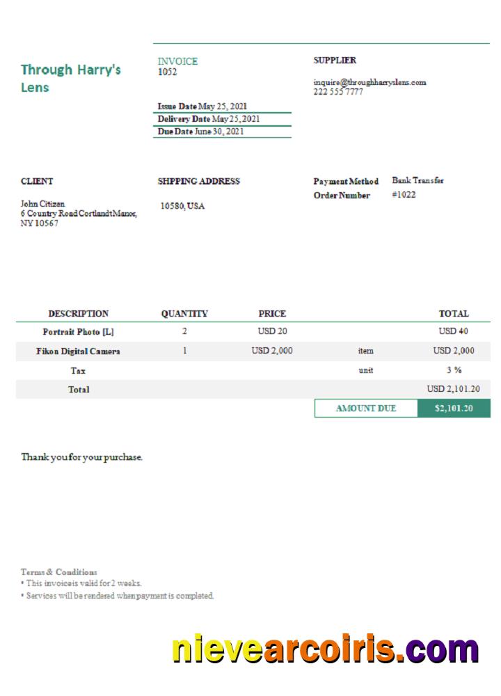 USA Through Harry’s Lens invoice